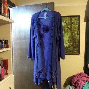 Soft sweatshirt twofer dress/tunic
